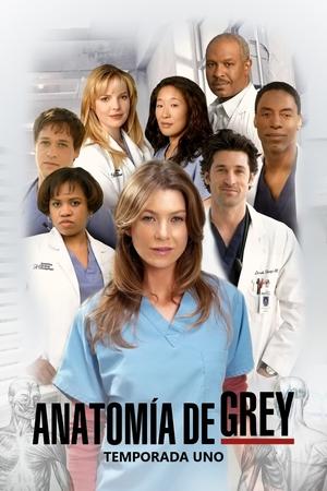 Anatomía de Grey temporada 1