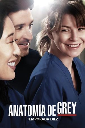 Anatomía de Grey temporada 10