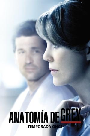 Anatomía de Grey temporada 11