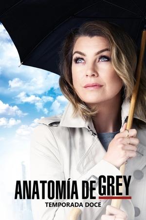 Anatomía de Grey temporada 12
