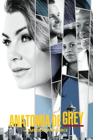 Anatomía de Grey temporada 14