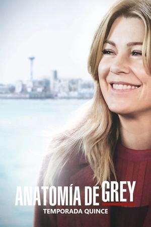 Anatomía de Grey temporada 15