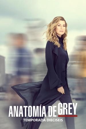 Anatomía de Grey temporada 16