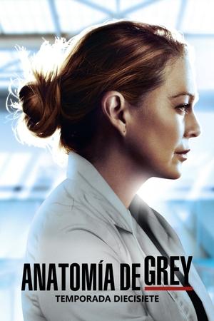 Anatomía de Grey temporada 17