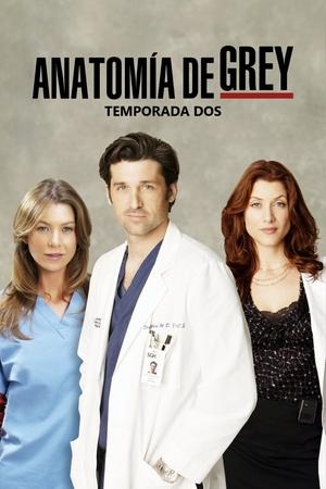 Anatomía de Grey temporada 2