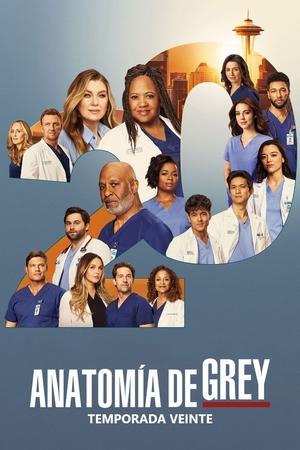 Anatomía de Grey temporada 20