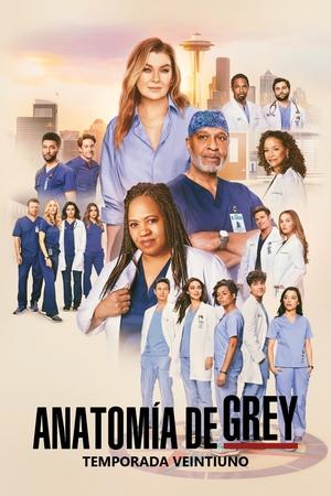 Anatomía de Grey Temporada 21 Episodio 5