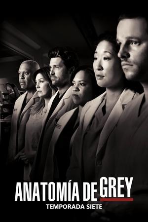 Anatomía de Grey temporada 7