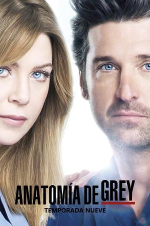 Anatomía de Grey temporada 9