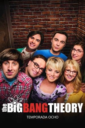 Big Bang temporada 8