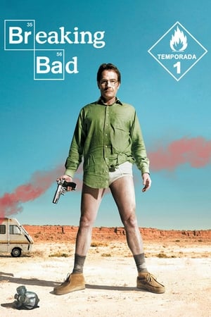Breaking Bad temporada 1