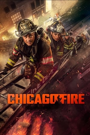 Chicago Fire temporada 13