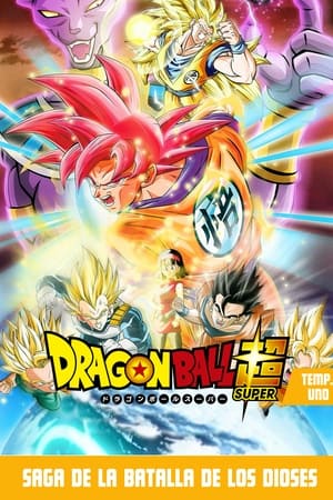 Dragon Ball Super temporada 1