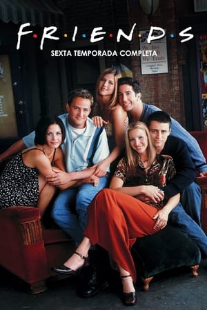 Friends temporada 6
