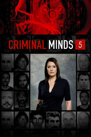 Mentes criminales temporada 5