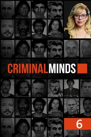 Mentes criminales temporada 6