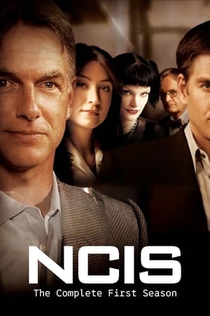 Navy: Investigación criminal temporada 1