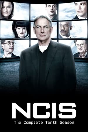 Navy: Investigación criminal temporada 10