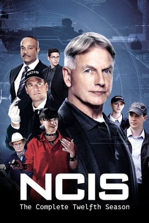 Navy: Investigación criminal temporada 12
