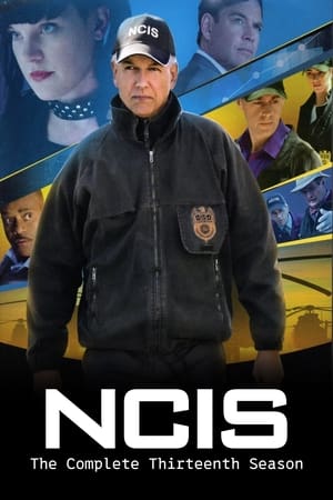Navy: Investigación criminal temporada 13