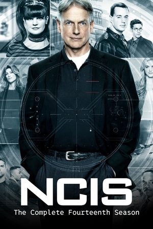 Navy: Investigación criminal temporada 14