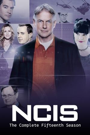 Navy: Investigación criminal temporada 15