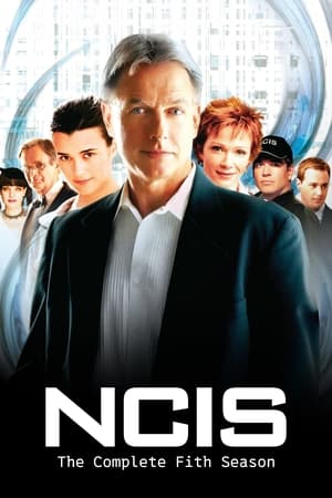 Navy: Investigación criminal temporada 5