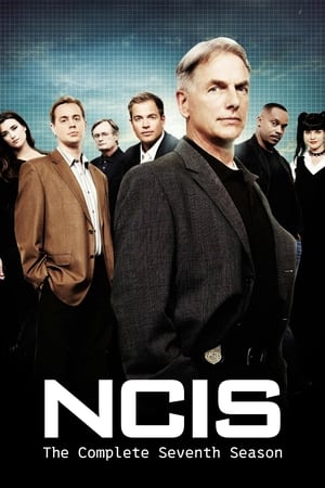 Navy: Investigación criminal temporada 7