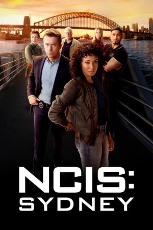 NCIS: Sydney temporada 2