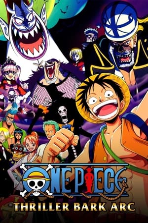 One Piece temporada 10