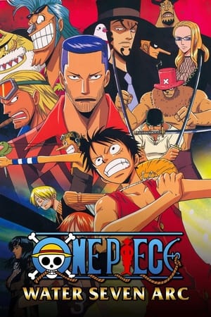 One Piece temporada 8