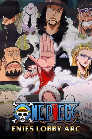 One Piece temporada 9