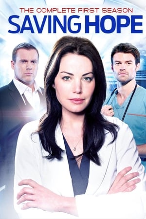 Saving Hope temporada 1