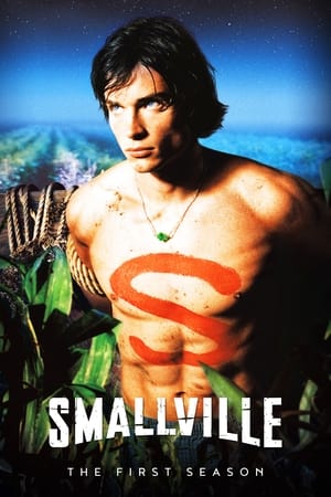 Smallville temporada 1