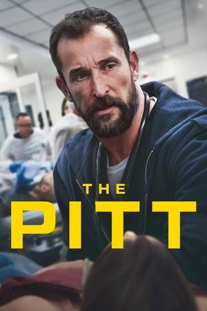 The Pitt temporada 1